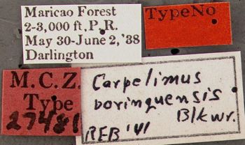 Media type: image;   Entomology 27481 Aspect: labels